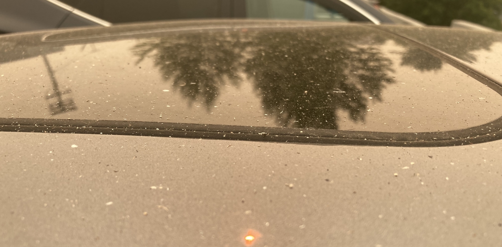 Ash on car