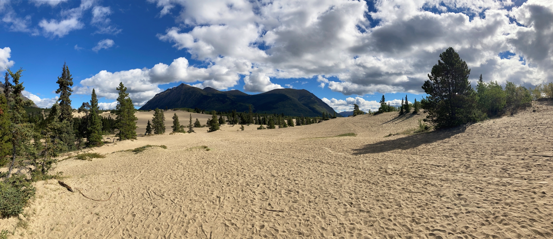 Carcross desert panorama 2