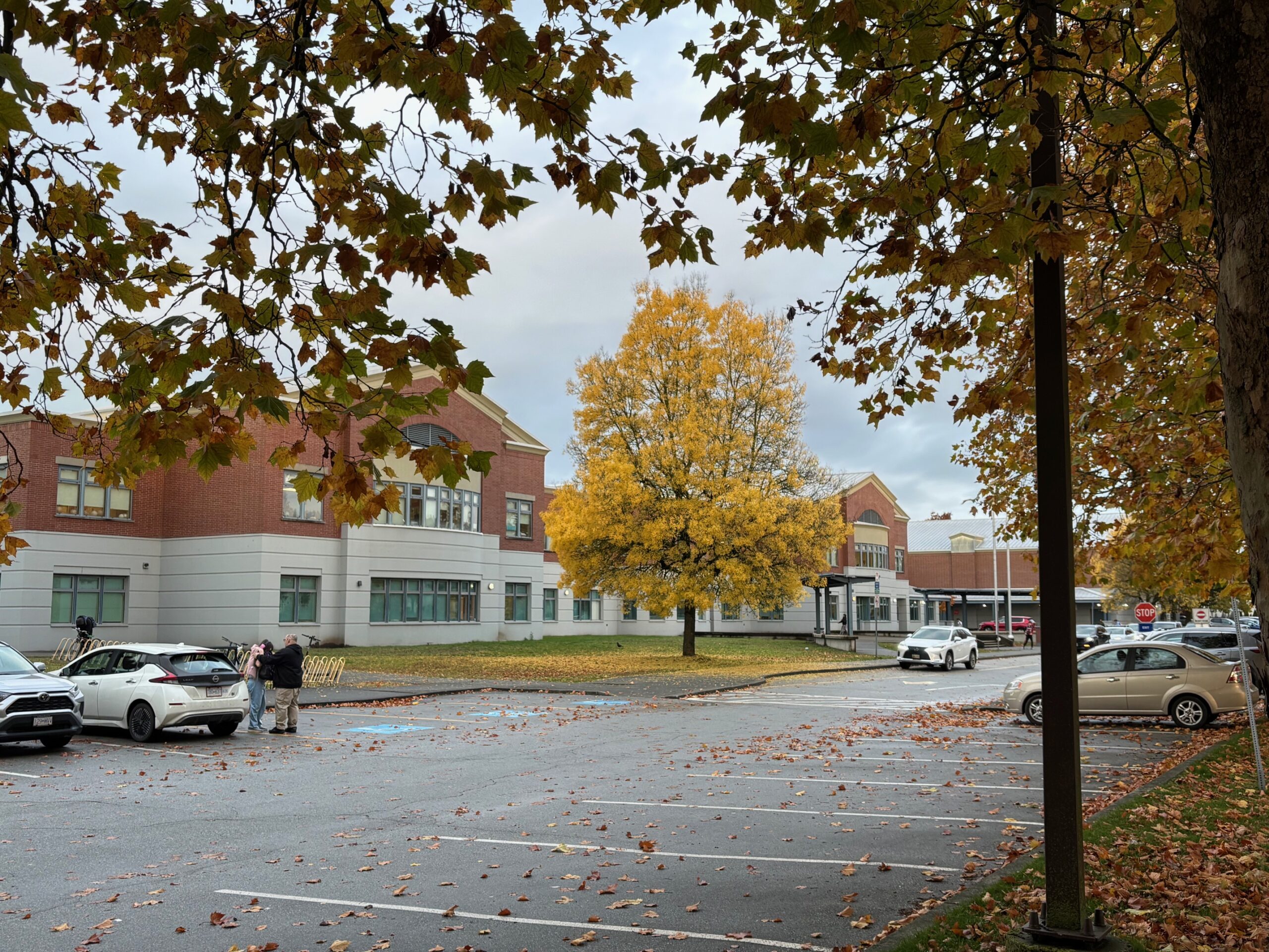 A yellow tree in front of a high school building and parking lot