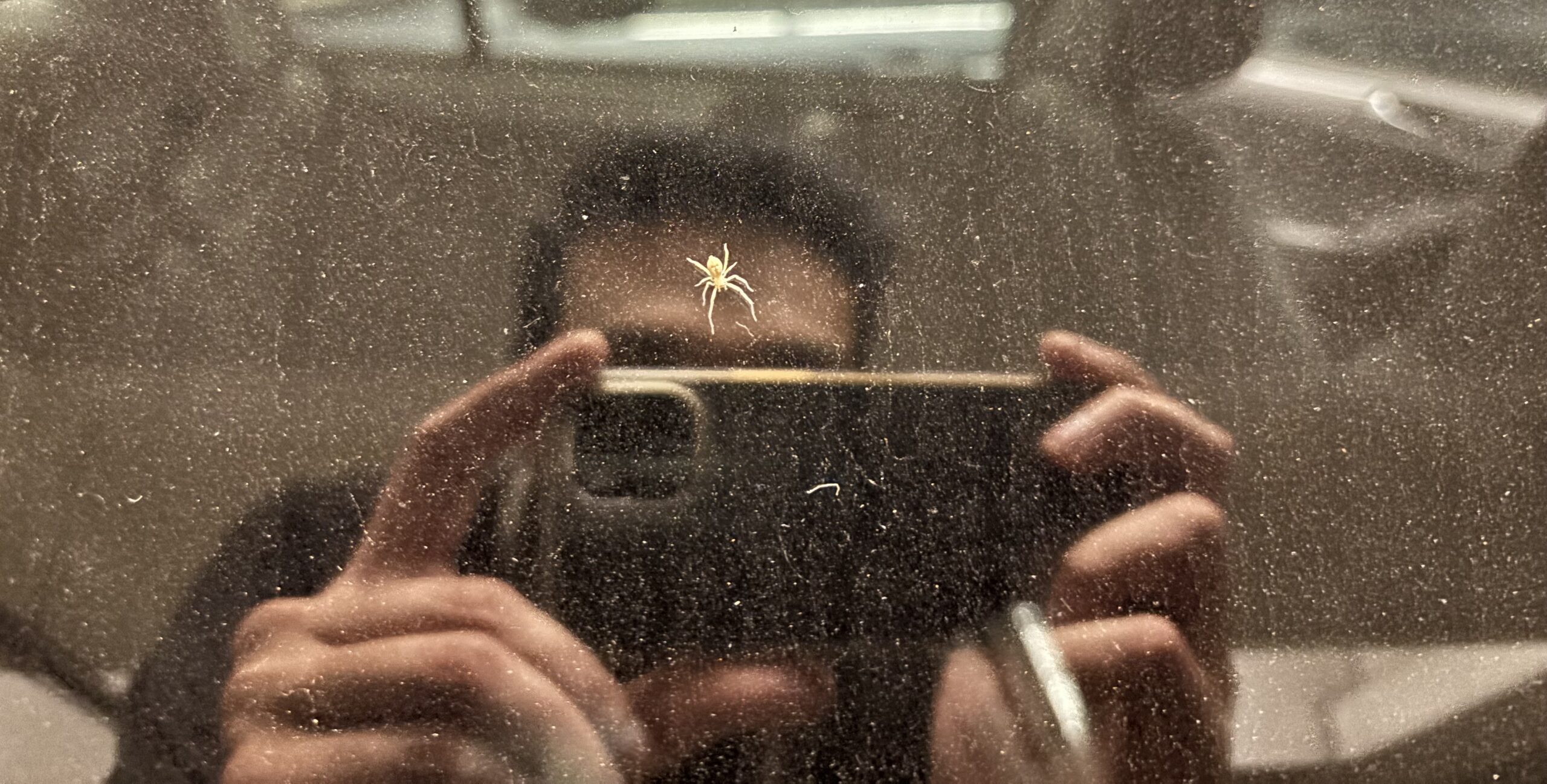 A small yellow spider on a car window, with a person taking a picture reflected in the window